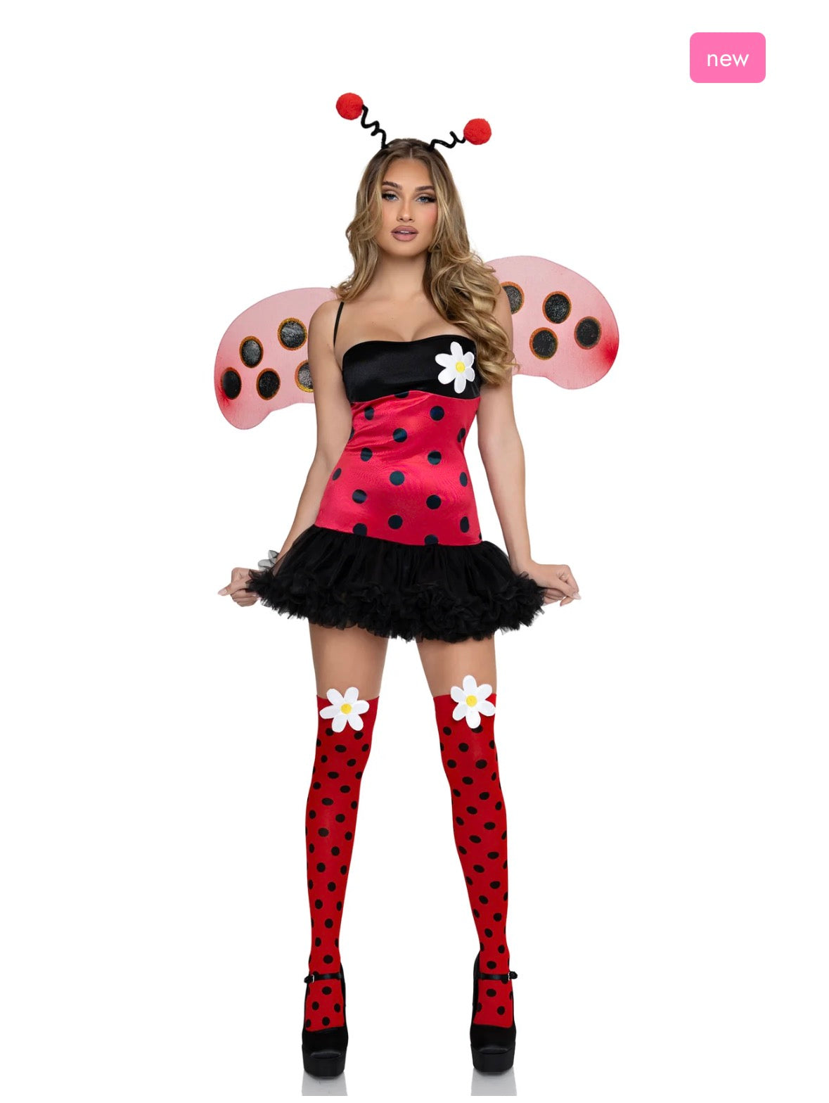 Daisy Bug